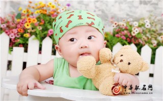 宝宝名字大全2023属兔男孩（孩子起名字大全免费2023年）