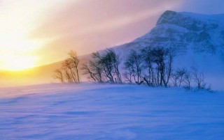 前不见古人后不见来者的意思（ 先不见古人后不见来者 ）