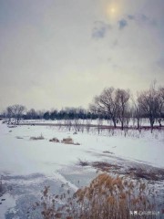 以志雪泥鸿爪意思是什么（ 雪泥鸿爪细雨梅花的意思 ）