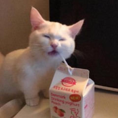 queenie英文名的意思（ 叫queenie英文名好不好 ）