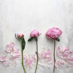 新年祝福短信（新年祝福短信10条简短）