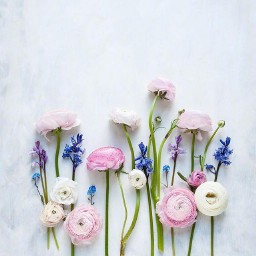 新年祝福短信（新年祝福短信10条简短）