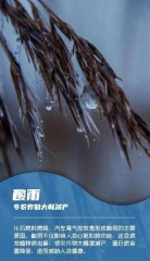 世界地球日是哪一天（世界地球日顺口溜）