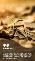 世界地球日是哪一天（世界地球日顺口溜）