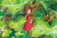 动漫经典语录人生哲理（ 动漫中富有哲理的句子 ）