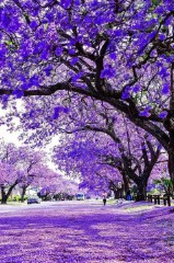 最伤感的网名（高级emo伤感ID）