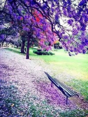 最伤感的网名（高级emo伤感ID）