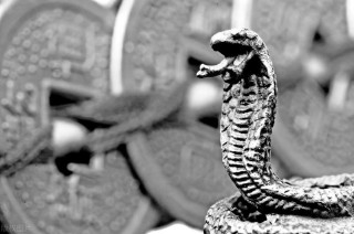 梦里梦到蛇是什么意思（ 女人梦到把蛇弄断了 ）