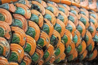 梦里梦到蛇是什么意思（ 女人梦到把蛇弄断了 ）