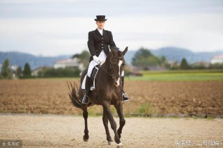 梦见马是什么意思（ 已婚女人梦见马预示着什么 ）