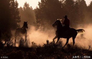 梦见马是什么意思（ 已婚女人梦见马预示着什么 ）