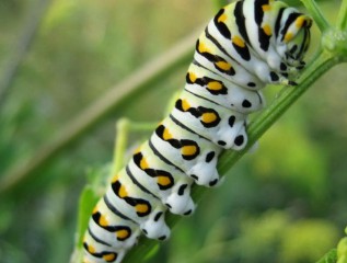 预示着生意兴隆的梦（ 生意人梦见生意好是什么意思 ）