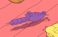 梦到掉牙齿是什么预兆女性（ 女人梦见掉牙是好事还是坏事 ）