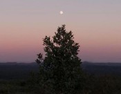 最伤感的网名（让对方看了扎心网名）