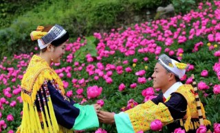 冤家的意思是什么（男女之间的冤家是什么意思）