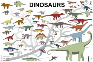 恐龙的名字有哪些（恐龙有哪些种类）