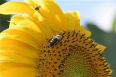 鼓励人的经典语句（一句简单激励自己的话）