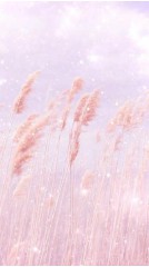 好听的情侣名字一男一女（高级情侣cp昵称）