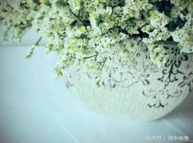 海子的经典诗句摘抄（海子的诗全集）