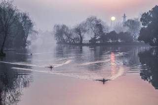 诗经楚辞中的150个唯美名字有哪些（楚辞最唯美的名字女）