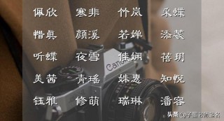 书香雅韵的佳名有哪些（儒雅书香的女孩名）