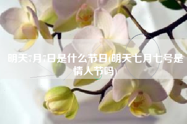 明天7月7日是什么节日(明天七月七号是情人节吗)