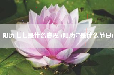 阳历七七是什么意思 (阳历77是什么节日)