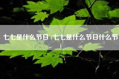 七七是什么节日 (七七是什么节日什么节)