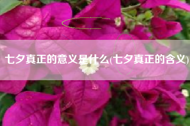 七夕真正的意义是什么(七夕真正的含义)