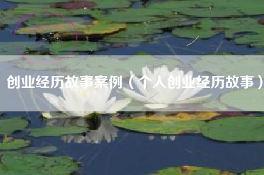 创业经历故事案例（个人创业经历故事）