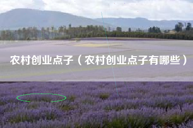 农村创业点子（农村创业点子有哪些）