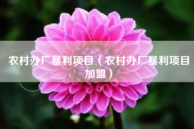 农村办厂暴利项目（农村办厂暴利项目加盟）