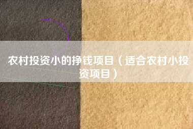 农村投资小的挣钱项目（适合农村小投资项目）