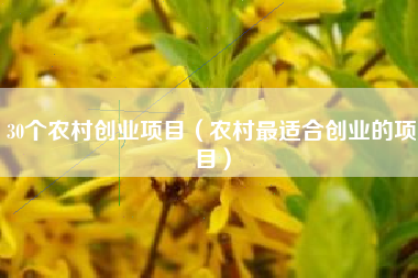 30个农村创业项目（农村最适合创业的项目）