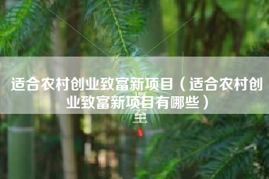 适合农村创业致富新项目（适合农村创业致富新项目有哪些）