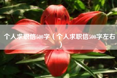 个人求职信500字（个人求职信500字左右）