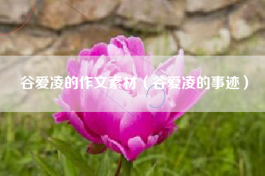 谷爱凌的作文素材（谷爱凌的事迹）