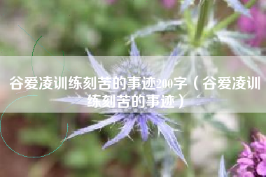 谷爱凌训练刻苦的事迹200字（谷爱凌训练刻苦的事迹）