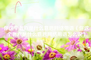 你这个老六是什么意思网络用语（你这个老六是什么意思网络用语怎么说）