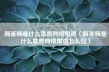 嗨害嗨是什么意思网络用语（嗨害嗨是什么意思网络用语怎么回）