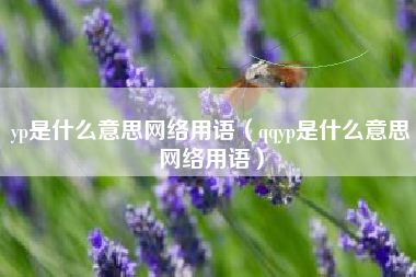 yp是什么意思网络用语（qqyp是什么意思网络用语）