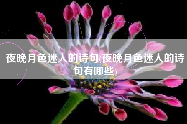 夜晚月色迷人的诗句(夜晚月色迷人的诗句有哪些)