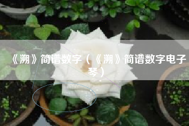 《溯》简谱数字（《溯》简谱数字电子琴）