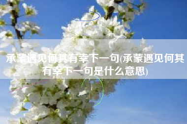 承蒙遇见何其有幸下一句(承蒙遇见何其有幸下一句是什么意思)