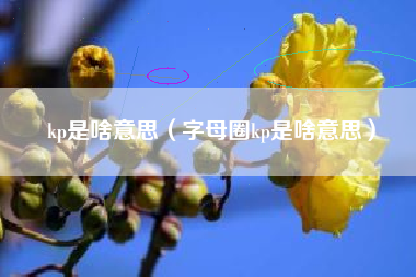 kp是啥意思（字母圈kp是啥意思）