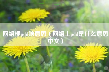 网络梗pdd啥意思（网络上pdd是什么意思中文）