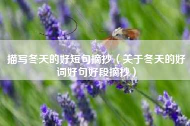 描写冬天的好短句摘抄（关于冬天的好词好句好段摘抄）
