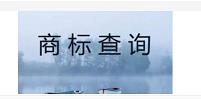 中国商标免费查询平台（查询注册商标查询官网）