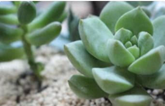 可爱女生名字 昵称（可爱女生名字 昵称两个字）