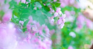 微信名女独特（微信名女独特伤感）